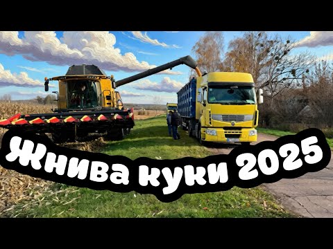 Видео: ❌МОЛОТИМ КУКУ ragt❌волога 25,врожайність 136ц💪