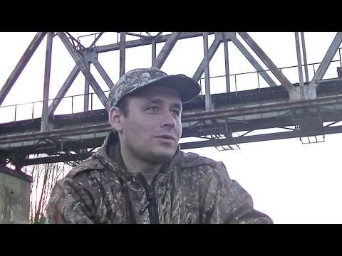 Видео: на живца река Луга , д.Кленно , клещи атакуют