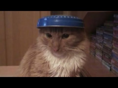 Видео: Салам