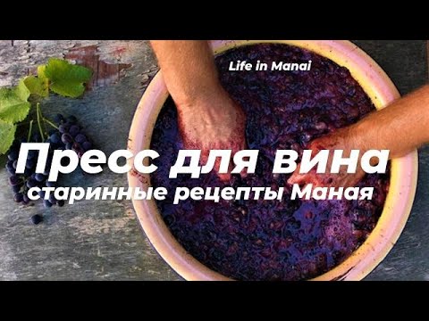 Видео: Пресс для винограда. Манайское* вино в процессе. "Адская" машинка.
