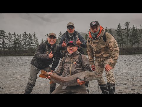 Видео: Зуны аялал 2024