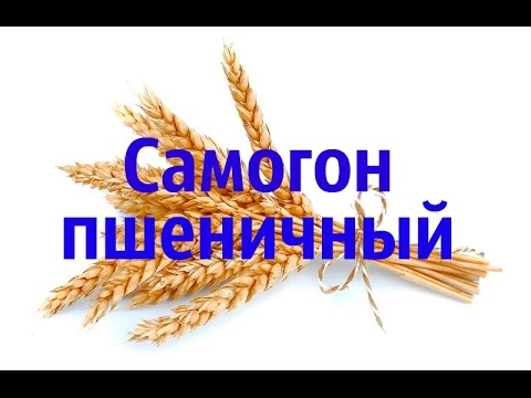 Видео: Самогон из пшеницы. Пшеничный дистиллят.