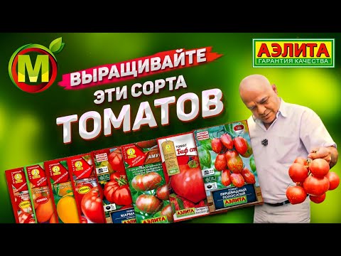 Видео: Какие сорта помидоров выращивать? Обзор семян томатов.