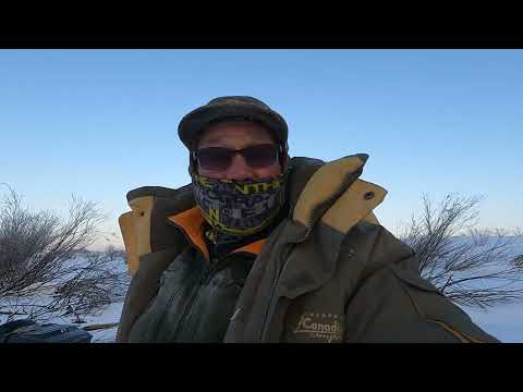 Видео: Глухозимье! Щуки хватают воблер целый день!