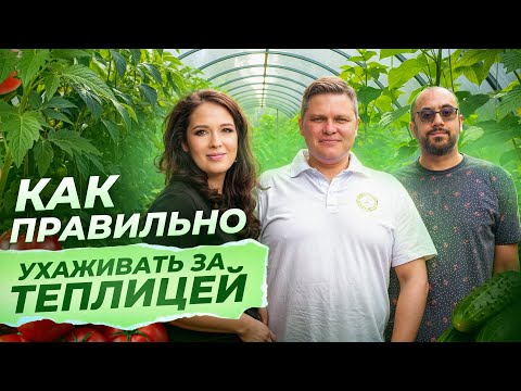Видео: Откройте Секреты ФОРМИРОВКИ Томатов и Перцев с Экспертом из Кувейта