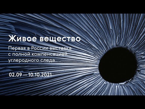 Видео: Живое вещество / Видеогид / Новая Третьяковка