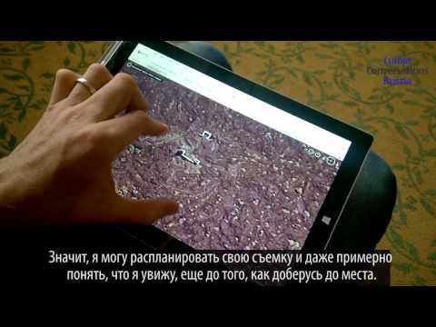 Видео: Съемка вулкана Парикутин на Lumia 640 XL