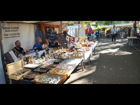 Видео: С динозавровой вероятностью найти чего достойного (то бишь 50 на 50). Или найдешь, или нет.