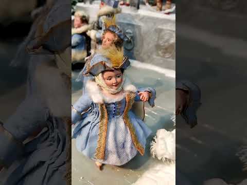 Видео: Фотографии на память с выставки "В снегах"-2025 в Санкт Петербурге.