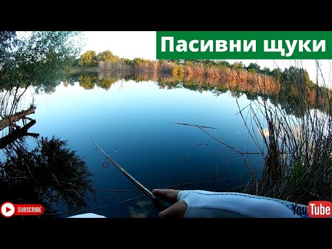 Видео: Риболов на пасивни щуки рано сутринта