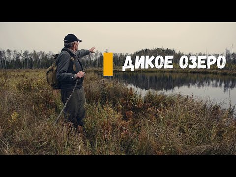 Видео: Дикое озеро. Пробираясь через болото. Карьер в лесу.