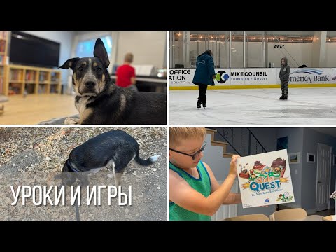 Видео: Волонтёрство в школе / Индивидуальный урок на катке