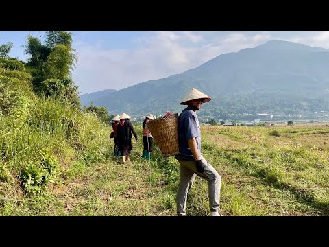 Видео: Обзор парка, Выезд из Кореи, как выехать если ты нелегал, Приезд во Вьетнам.