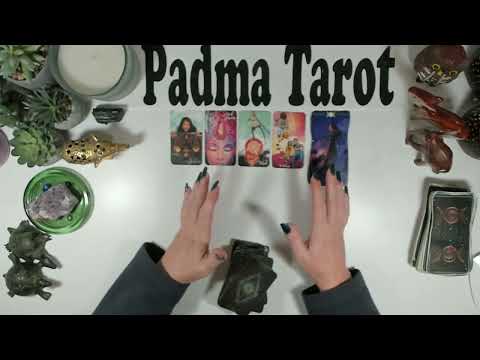 Видео: ОВЕН ♈️БУДЬТЕ ОСТОРОЖНЫ НА ЭТОЙ НЕДЕЛЕ! 17-23 НОЯБРЯ Еженедельное гадание на картах Таро 🔮💫