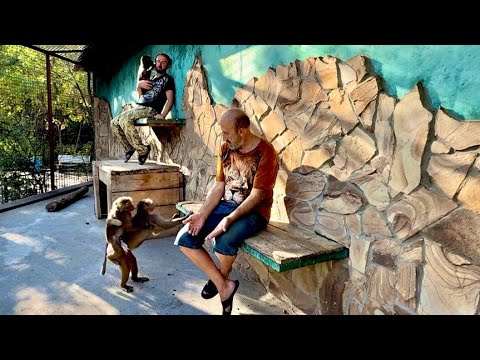 Видео: Люська продолжает ОГРЫЗАТЬСЯ на Влада и расстраивать его, а я пытаюсь ее вразумить)