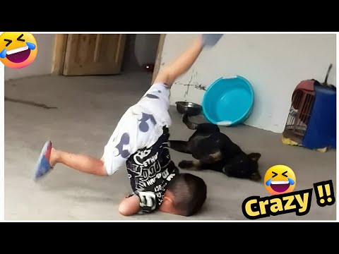 Видео: Самые смешные клипы месяца #91 — Забавные жизни людей. Попробуй не засмеяться 😂🤣🔥