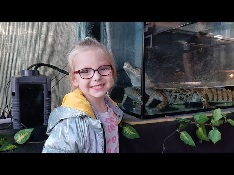 Видео: Выставка рептилий в Бресте. Ящерицы, хамелионы, крокодил, змеи, жабы👍