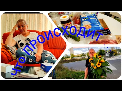 Видео: Что происходит в DE с доставкой🤔/Расколола вазу/ Срезали солнечные цветы/ За 🛒 как на работу😂