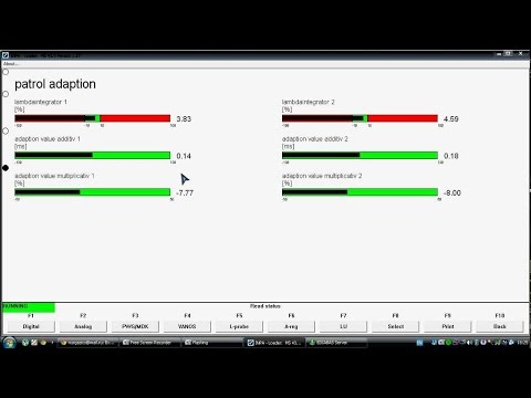 Видео: Обзор INPA, BMW Scaner 1.4.0(бобер), Galletto.