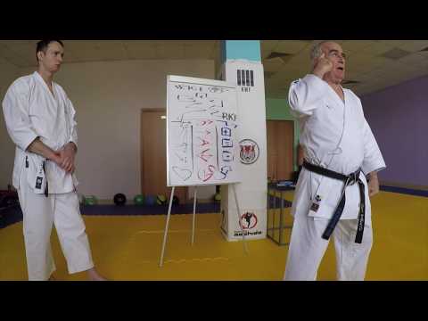 Видео: Система подготовки в каратэ. Виды спортсменов. Тактика кумитэ. Антонио Олива Себа