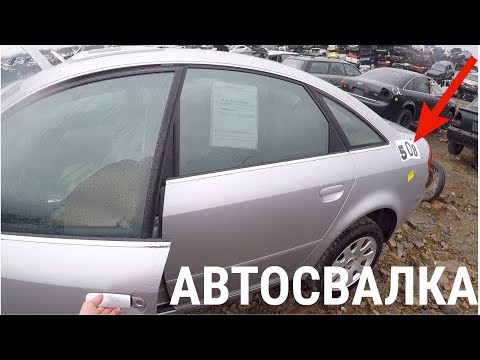 Видео: САМАЯ БОЛЬШАЯ АВТОСВАЛКА В МИРЕ! ЧТО МОЖНО НАЙТИ?(БМВ/ДЕНЬГИ)