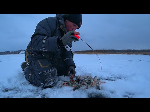 Видео: ОПУСТИЛ КАМЕРУ в СТАРОМ КАРЬЕРЕ, а ТАМ РЫБЫ! Первый ЛЁД 2023 в САМОМ РАЗГАРЕ