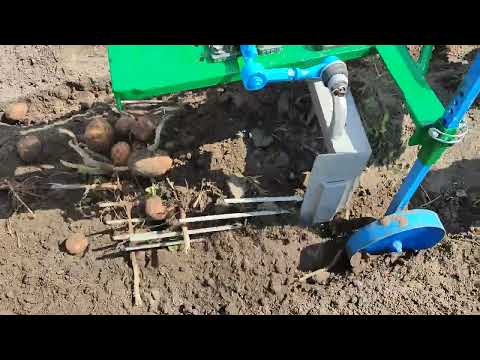 Видео: Картофелекопалка "Утиный хвост".
