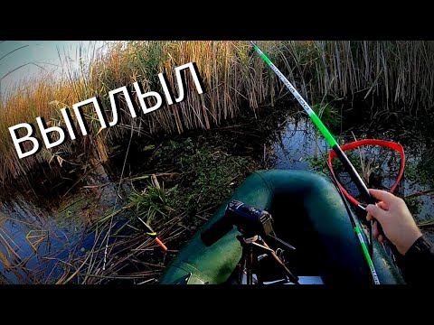 Видео: УТОПИЛ GOPRO и весь УЛОВ! ВОТ ОН КАРАСИК!!! Рыбалка на карася , Киевское водохранилище
