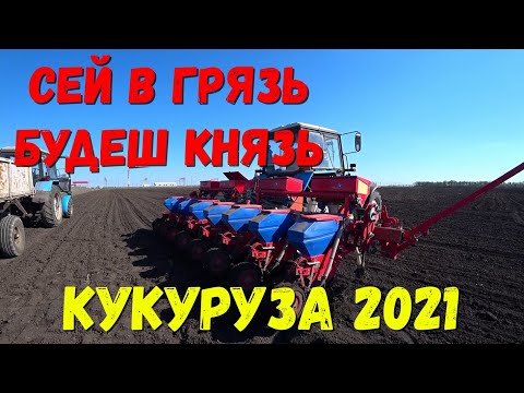 Видео: #кукурузарастение#сеемкукурузу2021#кукуруза.Сев кукурузы 2021/Сеялка точного высева ТСМ-4150 а.