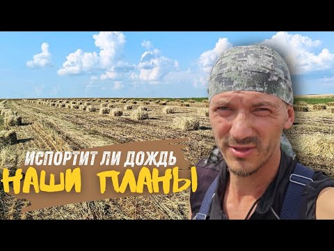 Видео: Такого у нас ещё не было I Горы сена и масса работы