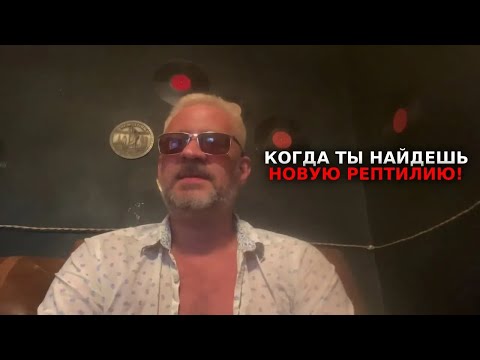 Видео: Когда ты найдешь новую рептилию