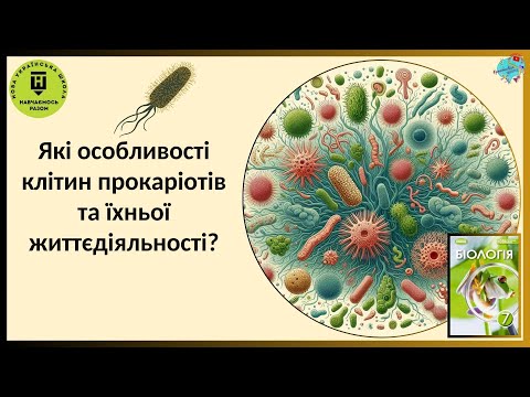 Видео: Які особливості клітин прокаріотів та їхньої життєдіяльності