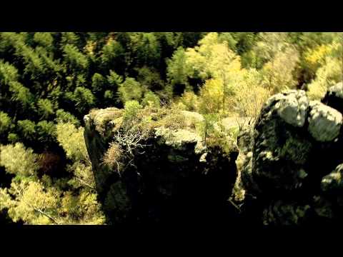 Видео: дикая природа германии