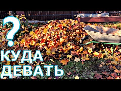 Видео: ОПАВШУЮ ЛИСТВУ КАК ИСПОЛЬЗОВАТЬ?