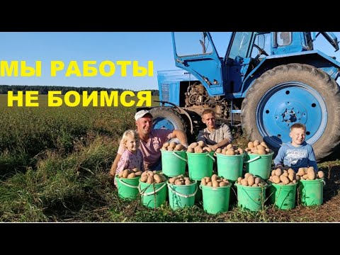 Видео: Модернизация УТИНОГО ХВОСТА. 50 соток одним махом