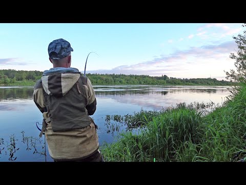 Видео: Рыбалка на Фидер на Западной Двине|Фидер в Июне 2022