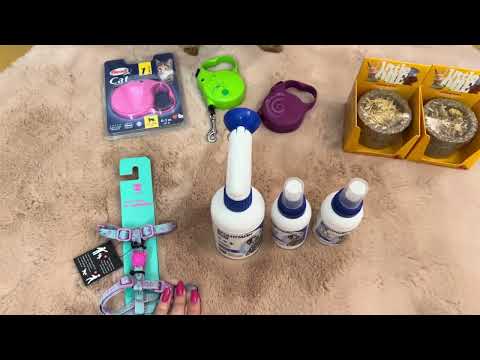 Видео: Покупки из зоомагазина для собаки // новая амуниция // консервы