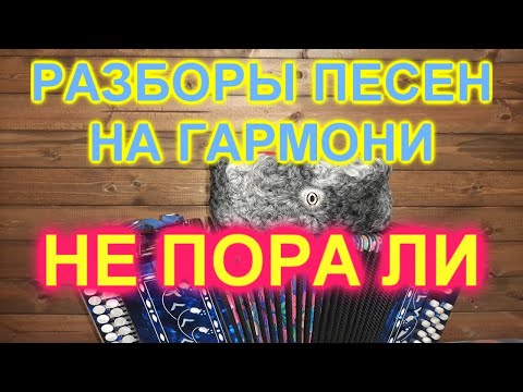 Видео: РАЗБОРЫ! Под гармонь!  НЕ ПОРА ЛИ!