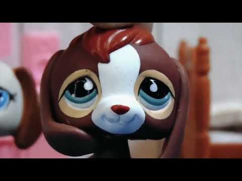 Видео: |LPS| О ценах в Беларуси на петов