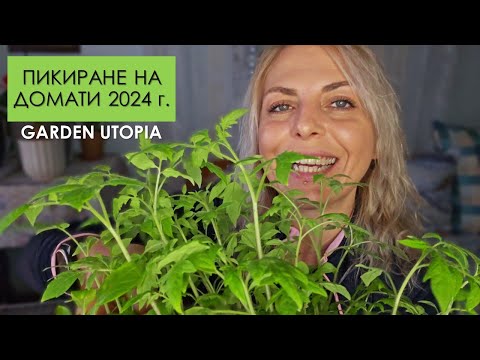 Видео: ПИКИРАНЕ на ДОМАТИ 2024 г.