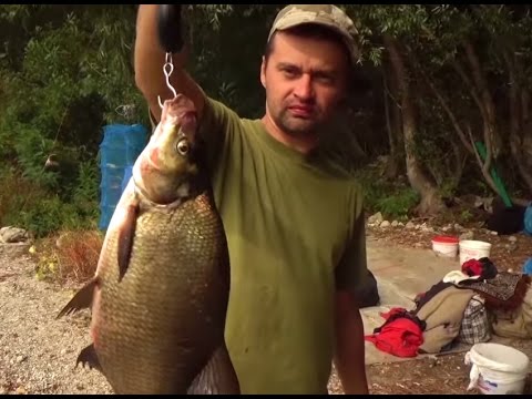 Видео: Дністер. Рибалка на ляща на Дністрі. Відео відпочинок на Дністрі