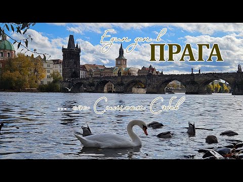 Видео: Един ден в Прага (със Симеон Събев)