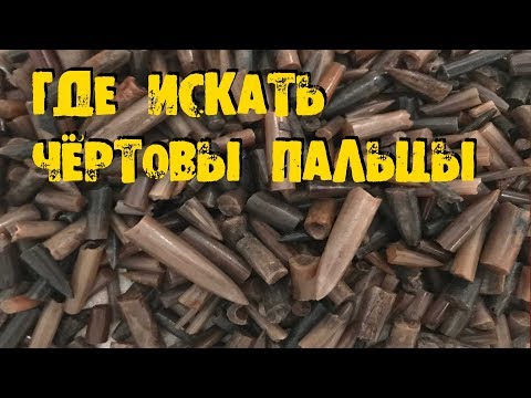 Видео: ГДЕ ИСКАТЬ БЕЛЕМНИТЫ WHERE TO FIND BELEMNITES