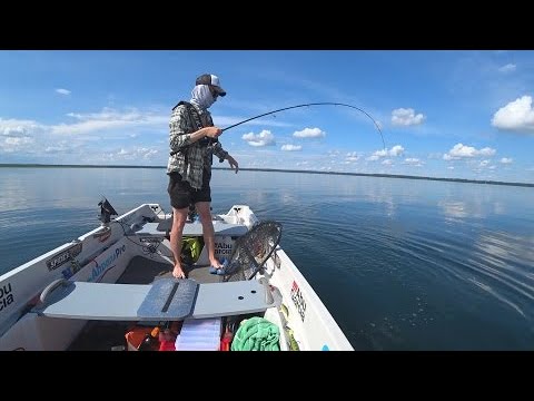 Видео: СУМАШЕДШИЕ ОКУНИ! НАРОЧЬ!РЫБАЛКА В БЕЛАРУСИ!