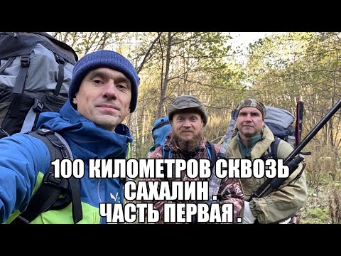 Видео: 2 ноября 2023 г.