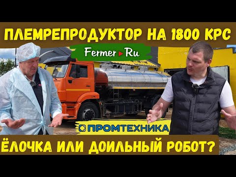 Видео: Реконструкция фермы. Устройство доильного и молочного блока. Постселекция. Доильный робот Волшебник.
