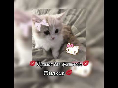 Видео: Музыка для флешмоба 💋 подписывайтесь на мой тгк🥰