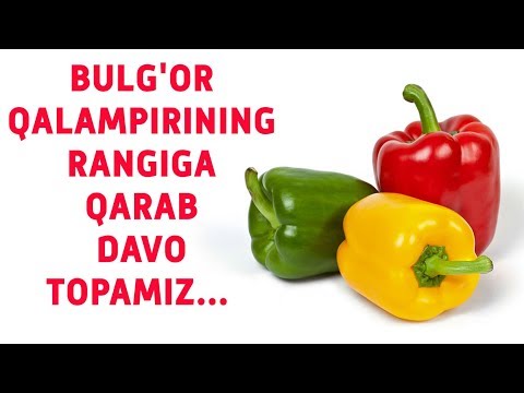 Видео: Булгор Калампири Кандай Ранги Кайси Касалга Даво ..?