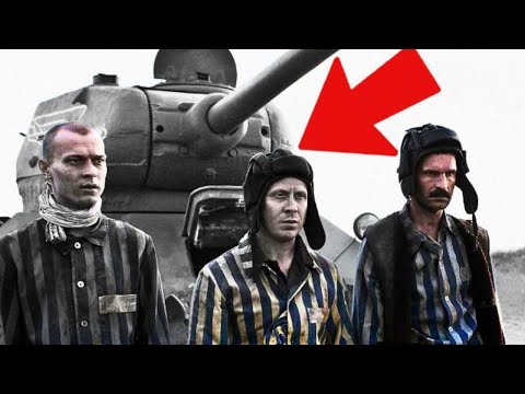 Видео: Почему погибло 70% экипажей Т-34