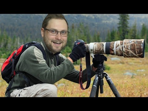 Видео: ФОТООХОТНИК КУПЛИНОВ